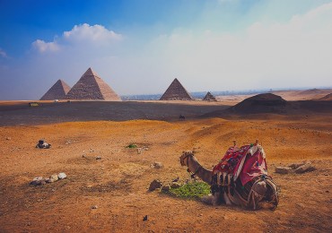 A Classic Tour of Cairo and Giza